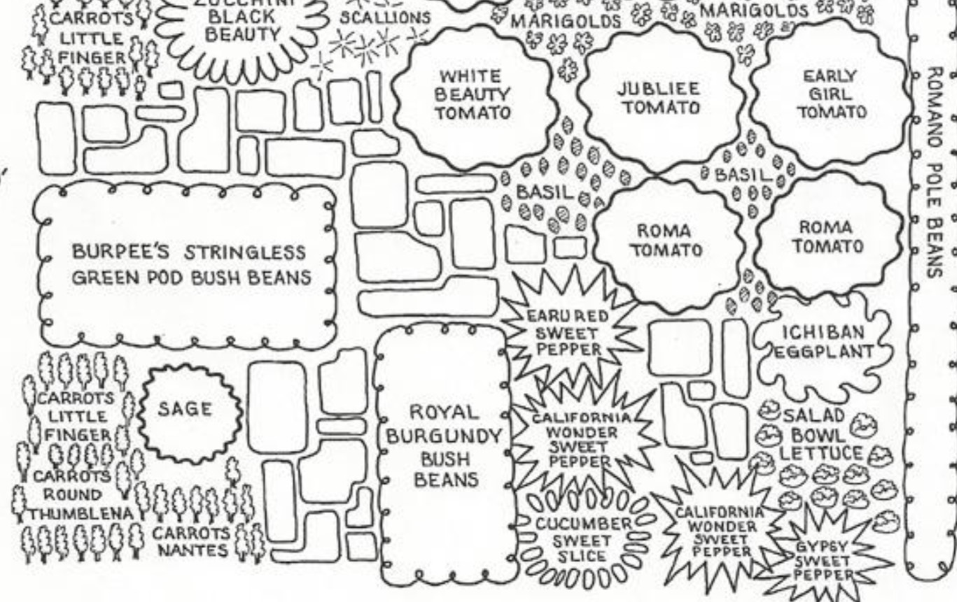 Garden Plan Layouts For a Small Backyard - Grit, image size:1367x861